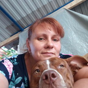 ���������� ������, ���� ������� ��������, 40 ���, ������������ ��� ����� � ���������, c�������� ���������