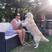 ���������� �����������, ���� ������� ������, 44 ����, ������������ ��� ������, ����� � ���������, c�������� ���������