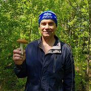  ,   Vladimir, 65 ,     , c 