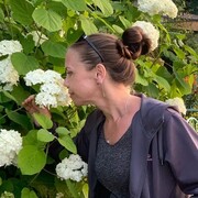 ���������� ����������, ���� ������� �����, 52 ����, ������������ ��� ������, ����� � ���������, c�������� ���������, ���������