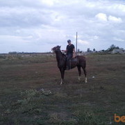  ,   87003754758, 38 ,     , c 