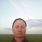  ,   , 44 ,     , c 