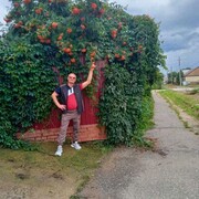  ,   , 52 ,   ,   , c , 