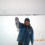 ���������� �����, ���� ������� �����, 50 ���, ������������ ��� ������, ����� � ���������, c�������� ���������