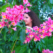 ���������� ������, ���� ������� �����, 39 ���, ������������ ��� ������, ����� � ���������, c�������� ���������