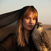 ���������� ������������, �������