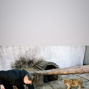  Zweibrucken,   Dima, 25 ,   ,   