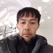  -,   , 42 ,   ,   