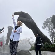 ���������� ������, ���� ������� ��������, 56 ���, ������������ ��� ������, ����� � ���������, c�������� ���������, ���������