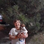 ���������� �����-���������, ���� ������� ��������, 42 ����, ������������ ��� c�������� ���������, ���������