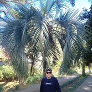 ���������� �������, ���� ����� ����, 25 ���, ������������ ��� ������, ����� � ���������