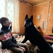  ,   , 34 ,   ,   , c , 