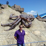   ,   ˸, 41 ,   , c , 