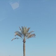  ,   , 40 ,   ,   , 