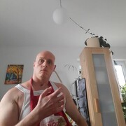  Westerkappeln,   , 36 ,   ,   , c , 