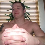  ,   ˸, 41 ,   ,   , c 