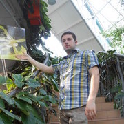 ���������� �����, ���� ������� ����, 39 ���, ������������ ��� ����� � ���������, c�������� ���������