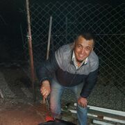 ���������� �����������, ���� ������� ����, 40 ���, ������������ 