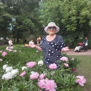 ���������� �����-���������, ���� ������� ������, 74 ����, ������������ ��� ������, ����� � ���������, c�������� ���������