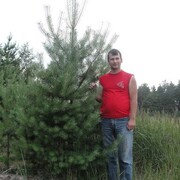 ���������� ������, ���� ������� �������, 46 ���, ������������ ��� ������, ����� � ���������, c�������� ���������, ���������