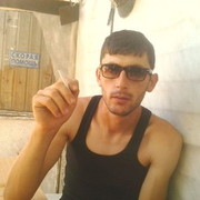  ,   Gev1, 34 ,   