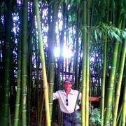  ,   , 53 ,   