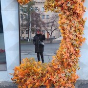 ���������� �����������, ���� ������� ���, 32 ����, ������������ ��� ������, ����� � ���������, c�������� ���������, ���������