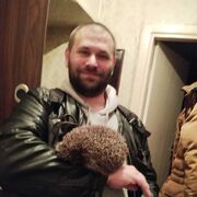 ���������� ����, ���� ������� ������, 46 ���, ������������ ��� ������, ����� � ���������