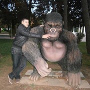  ,   Gio, 37 ,   ,   , c 