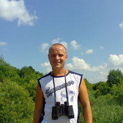  ,  chelik, 49