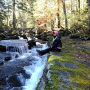  ,   Healer, 47 ,  