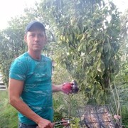 ���������� �������, ���� ������� ���������, 44 ����, ������������ ��� ����� � ���������, c�������� ���������