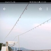  ,   , 41 ,   ,   