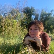 ���������� ������, ���� ������� �������, 62 ����, ������������ ��� c�������� ���������, ���������