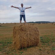 ���������� �����, ���� ������� ����, 41 ���, ������������ ��� ������, ����� � ���������