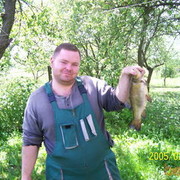 ���������� �����, ���� ������� �������, 44 ����, ������������ ��� ������, ����� � ���������, c�������� ���������