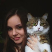  ,   , 26 ,  
