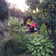  Brighton,   , 51 ,   