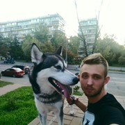 ���������� ����, ���� ������� �������, 32 ����, ������������ ��� ������, ����� � ���������, c�������� ���������