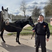 ���������� ������, ���� ������� ������, 51 ���, ������������ ��� ������, ����� � ���������