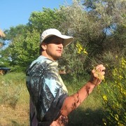 ���������� �����, ���� ������� �����, 40 ���, ������������ ��� ������, ����� � ���������, c�������� ���������, ���������