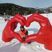 ���������� �����������, ���� ������� ����, 36 ���, ������������ ��� ����� � ���������, c�������� ���������