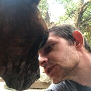 ���������� ��������, ���� ������� �����, 37 ���, ������������ ��� ������, ����� � ���������, c�������� ���������, ���������