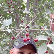  ,   , 52 ,   ,   