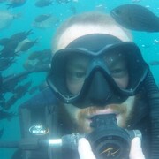 ���������� ������, ���� ������� ������, 44 ����, ������������ ��� ������