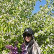 ���������� ������, ���� ������� ���, 38 ���, ������������ ��� ������, ����� � ���������, ���������