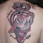 ���������� ������, ���� ������� ������, 41 ���, ������������ ��� ������