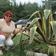  ,   , 68 ,     , c 