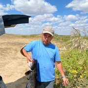 ���������� ��������, ������� �������, 38