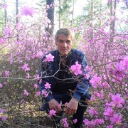  ,   , 59 ,   